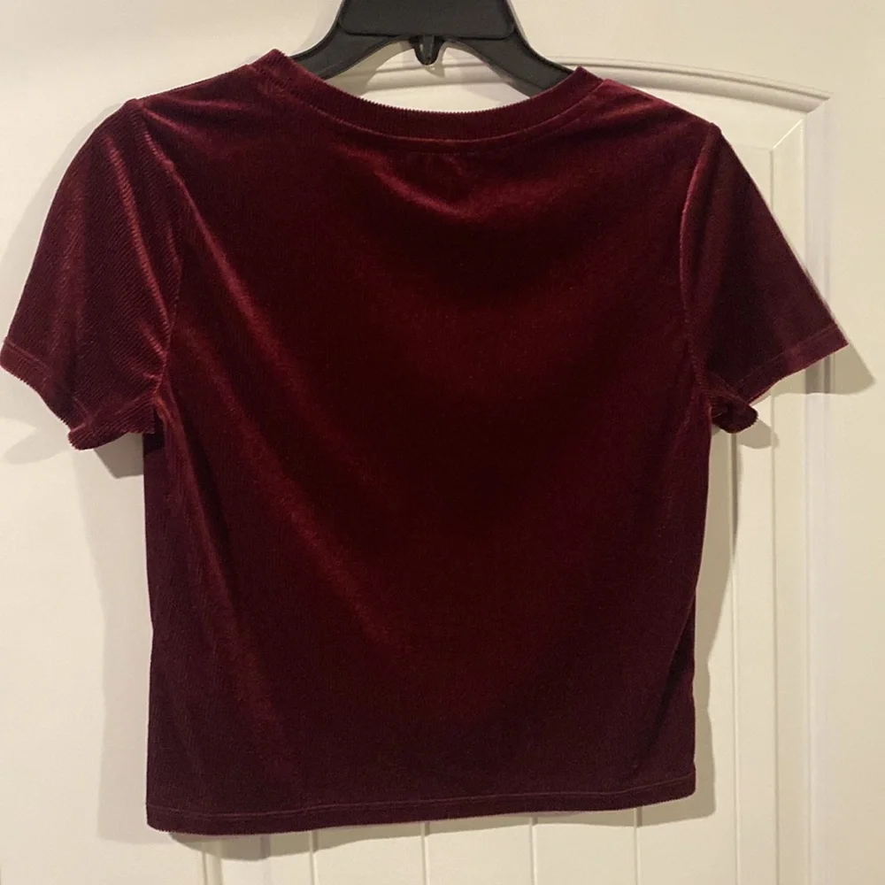Velvet Ribbed Crop Top - Picture 3 of 3